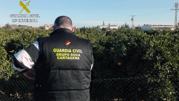 guardia civil, naranjas, robos