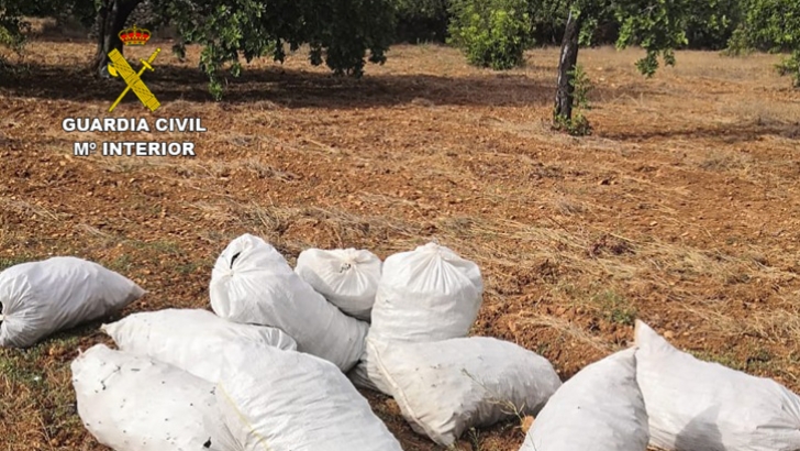 guardia civil algarrobas