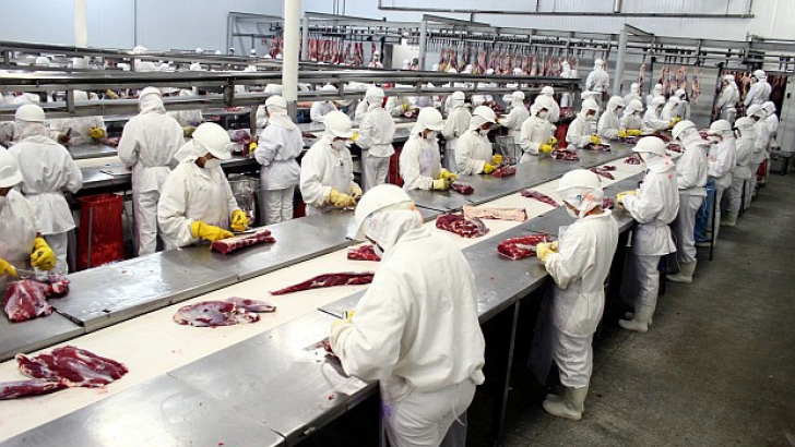 211001 protestas ind carnica