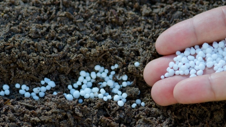 insumos, fertilizantes, precio