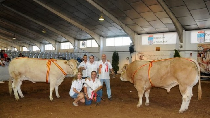 certámenes