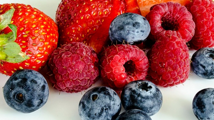 frutos rojos, upa - huelva