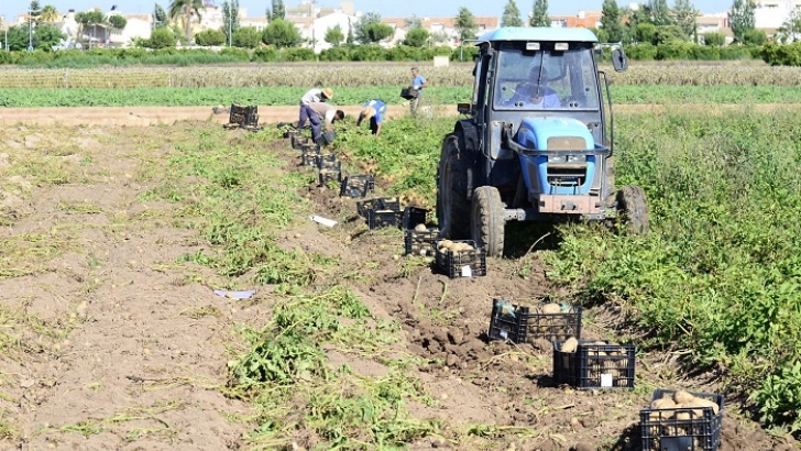 frutas, hortalizas, francia