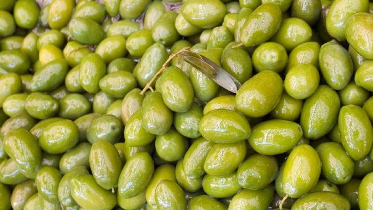 andalucía aceite de oliva, aceituna