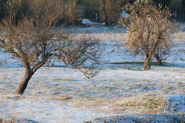 candor, europa, sánchez, unión, naturaleza