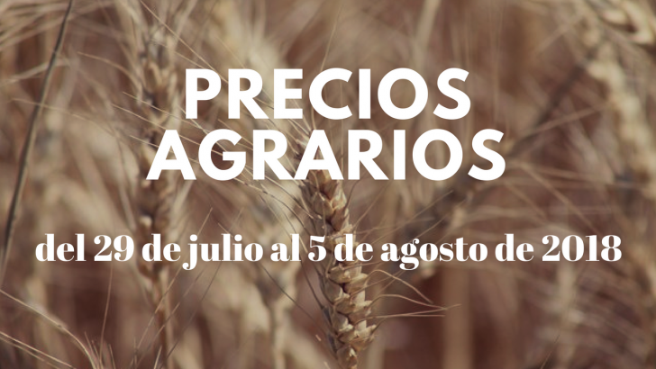 precios agrarios 26
