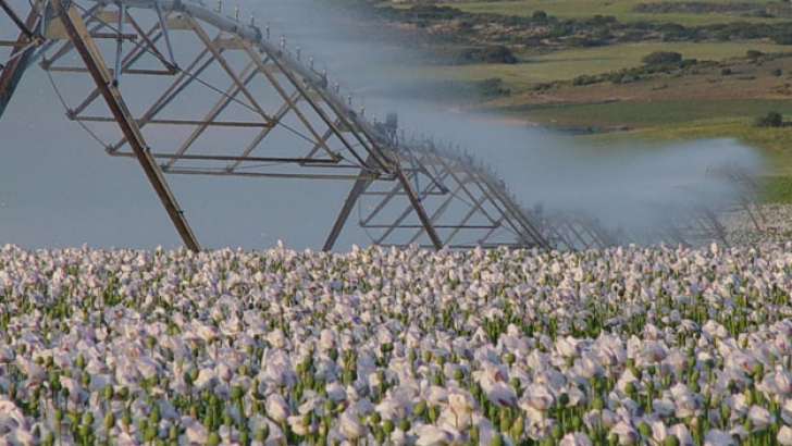 ingenieros agrónomos regadío
