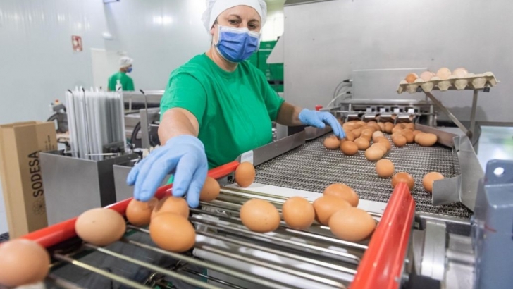 huevos, toledo, trigo