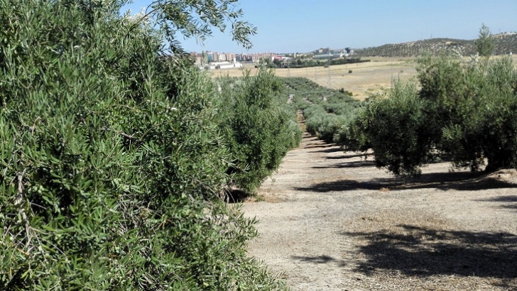 módulos, seguro