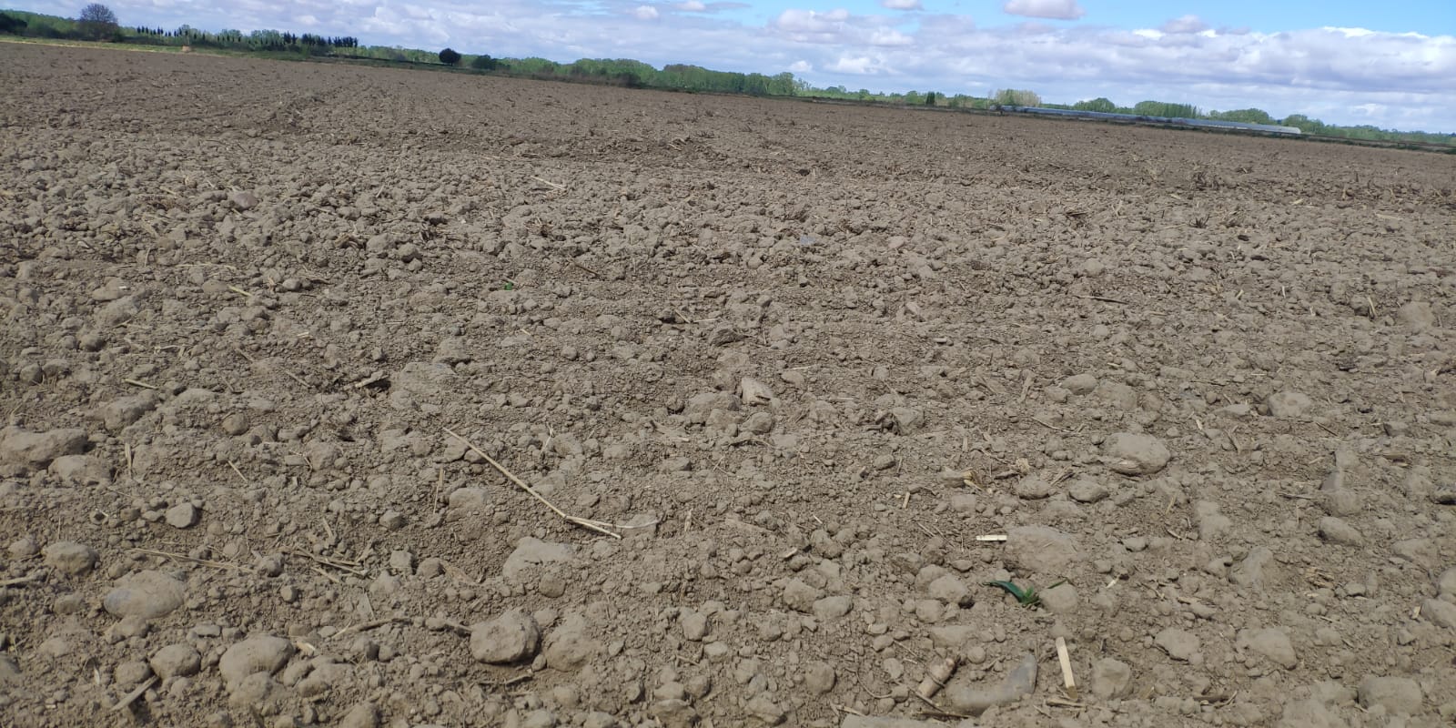 caja rural, zamora, flexibiliza asaja palencia, sequia