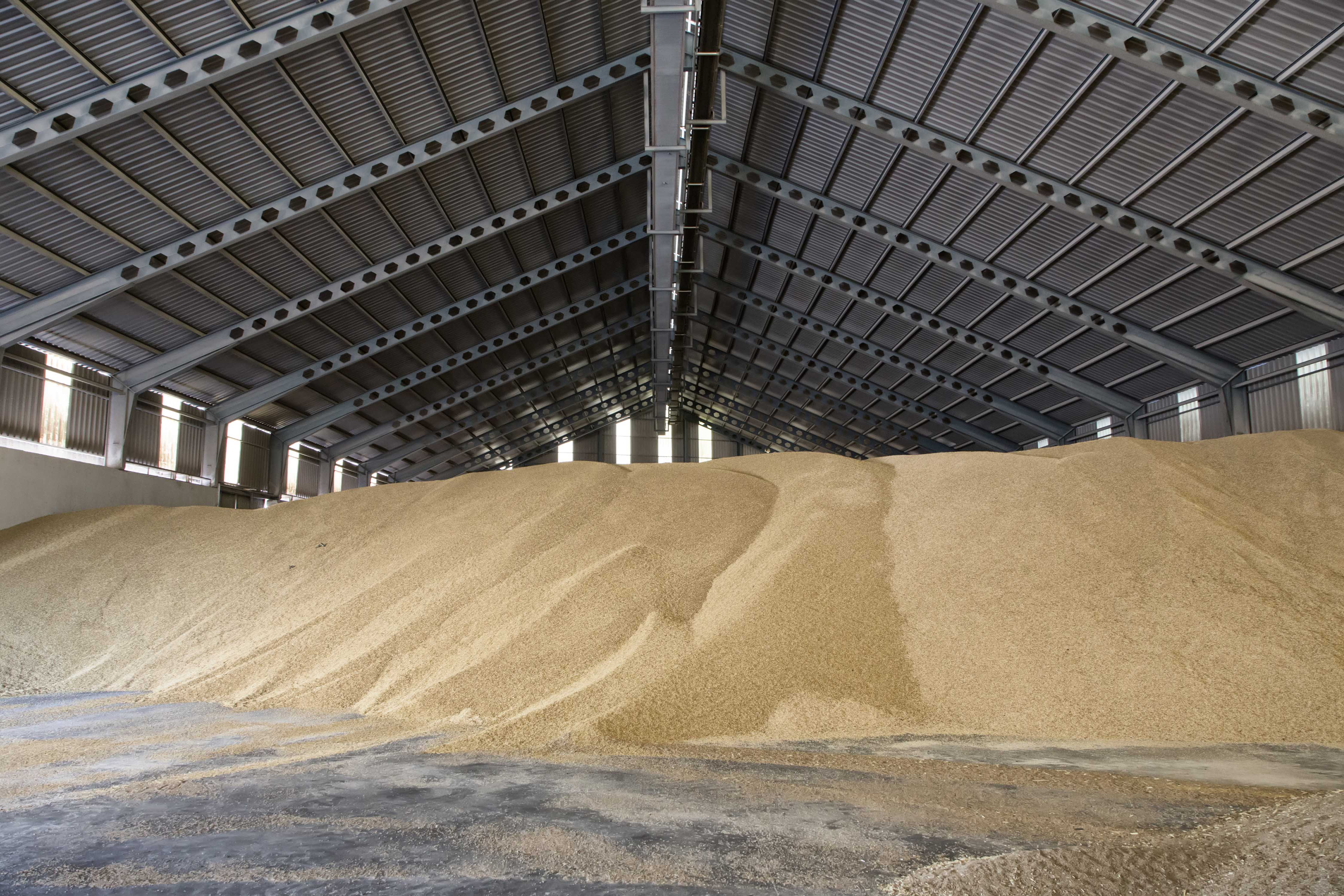 2024, cooperativas, economía social cooperativismo cereales