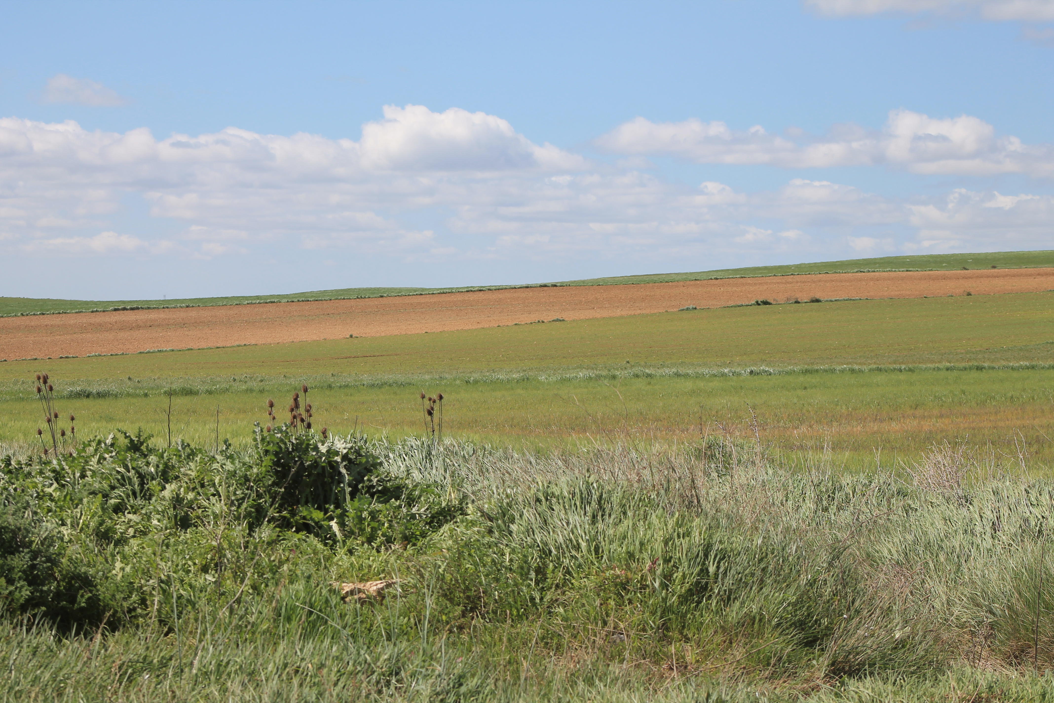 arrendamientos rústicos