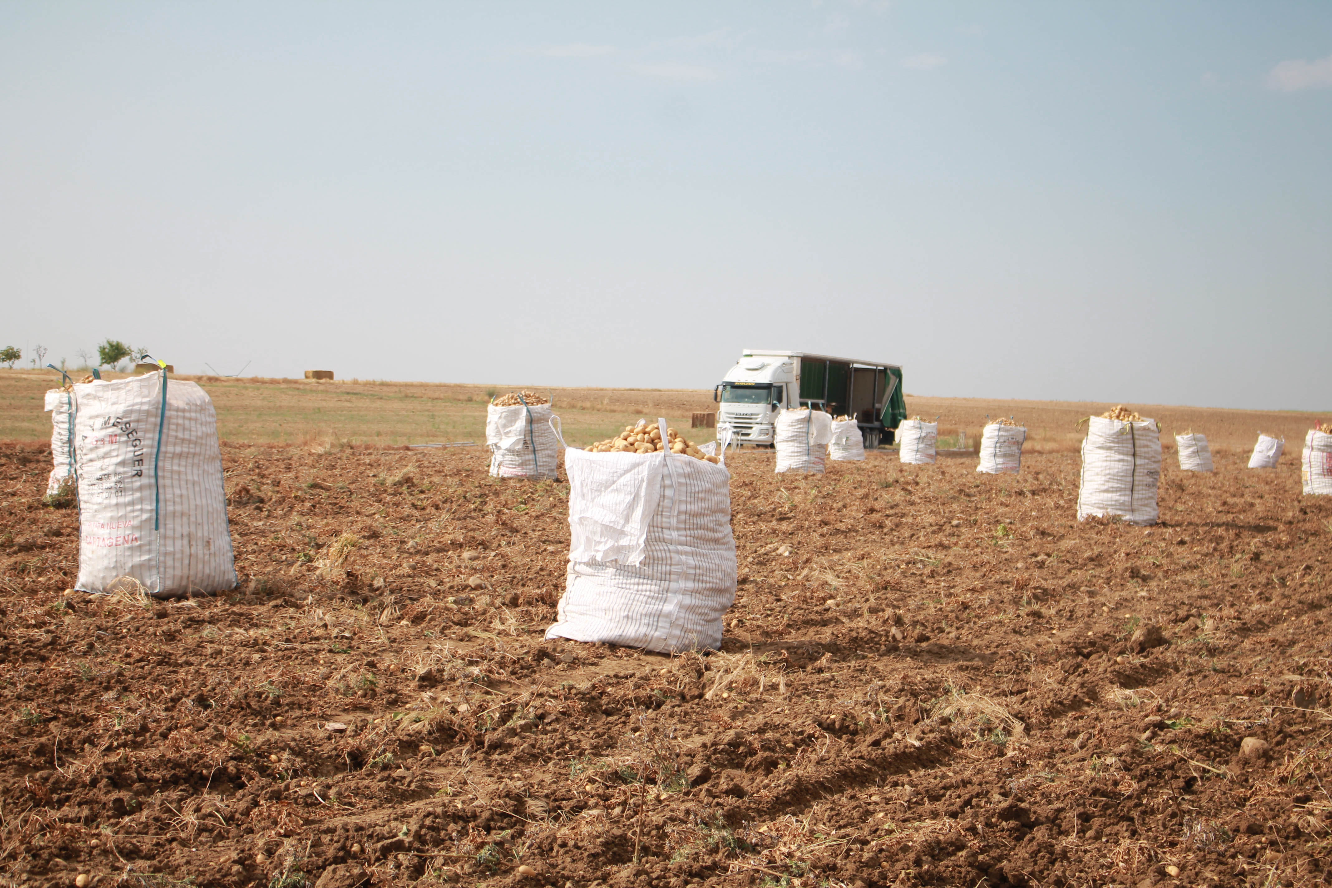 producción agraria