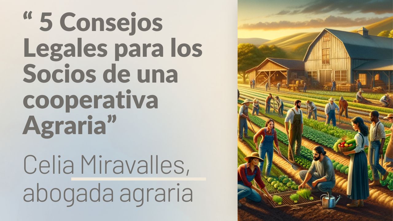 consejos legales