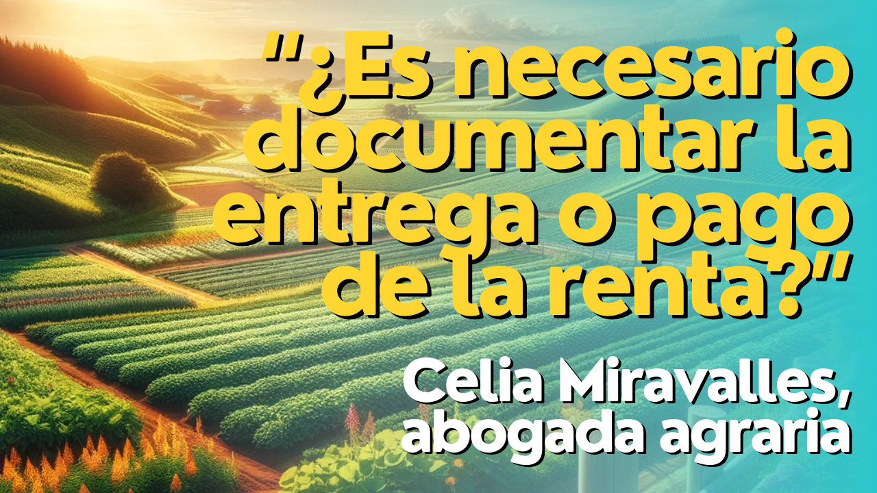 "Pago de la renta: ¿Es necesario documentarlo?”