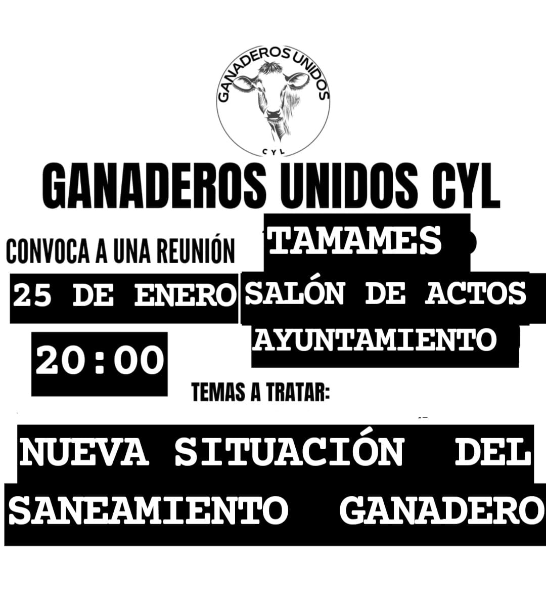 saneamiento