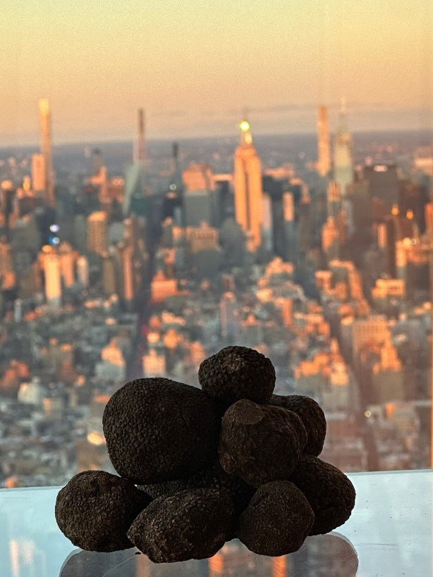 nueva york