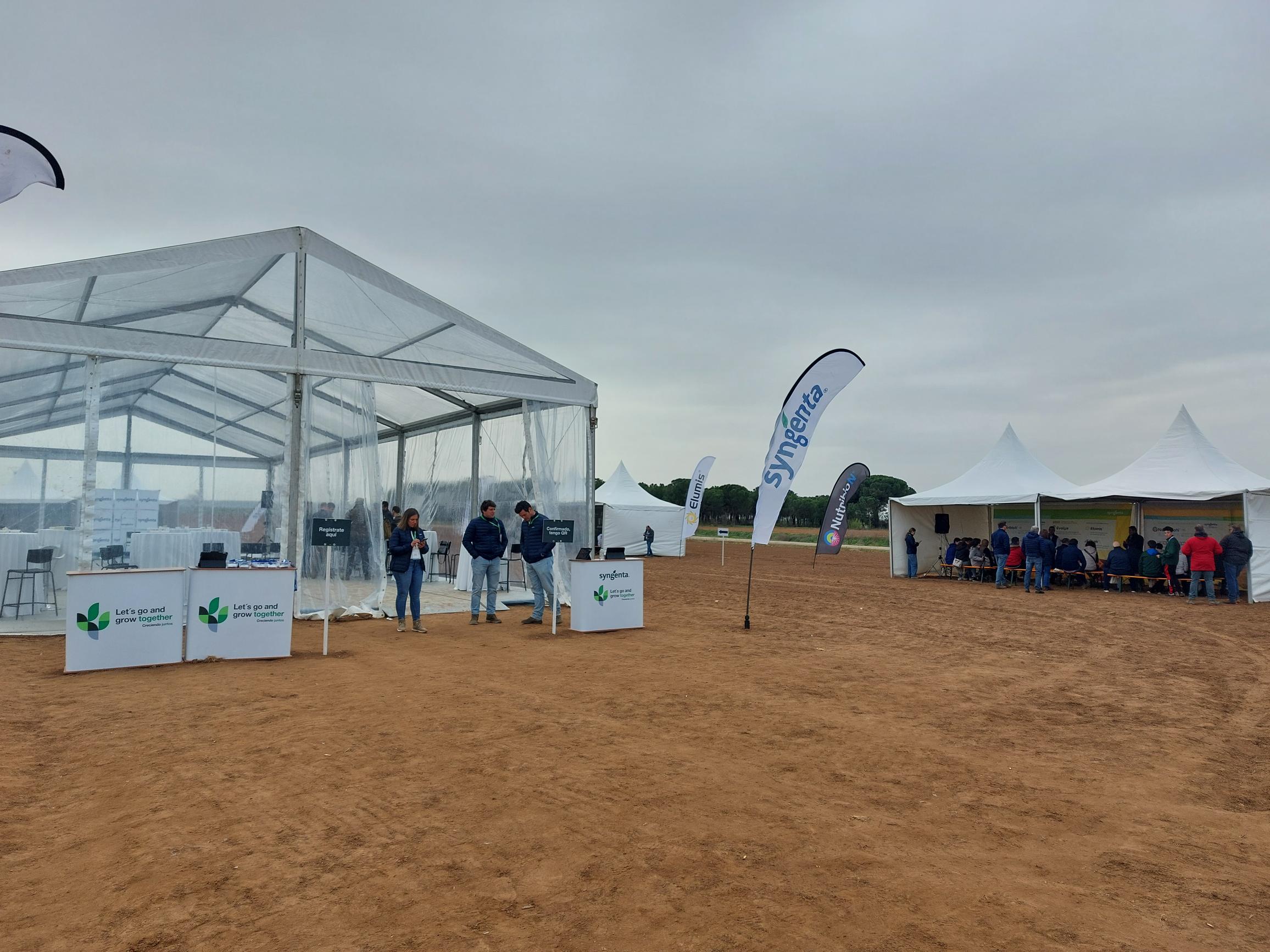 syngenta