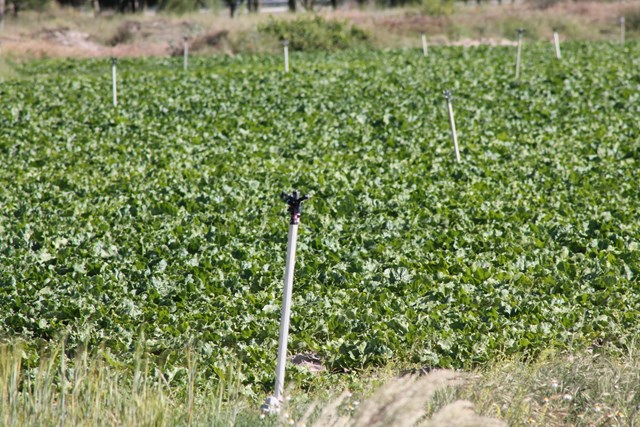 La Mesa Social del Agua de Andalucía denuncia los impactos de la DANA y la sequía persistente: Urgencia de un cambio en la gestión hídrica