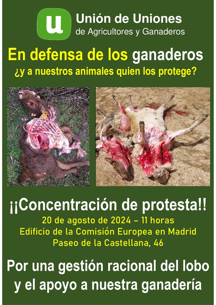 unión, lobo