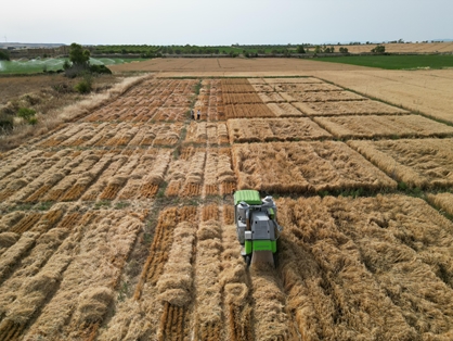 sos rural