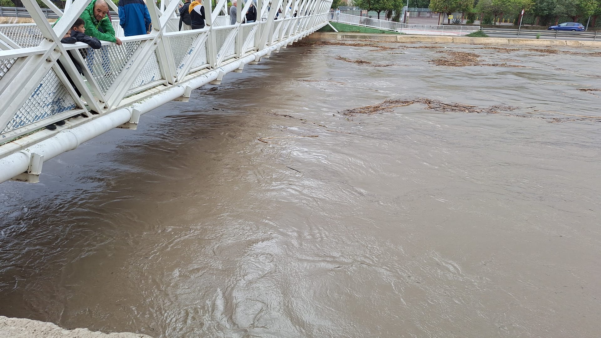 Impacto de la DANA en la Agricultura Valenciana: Desafíos y Oportunidades
