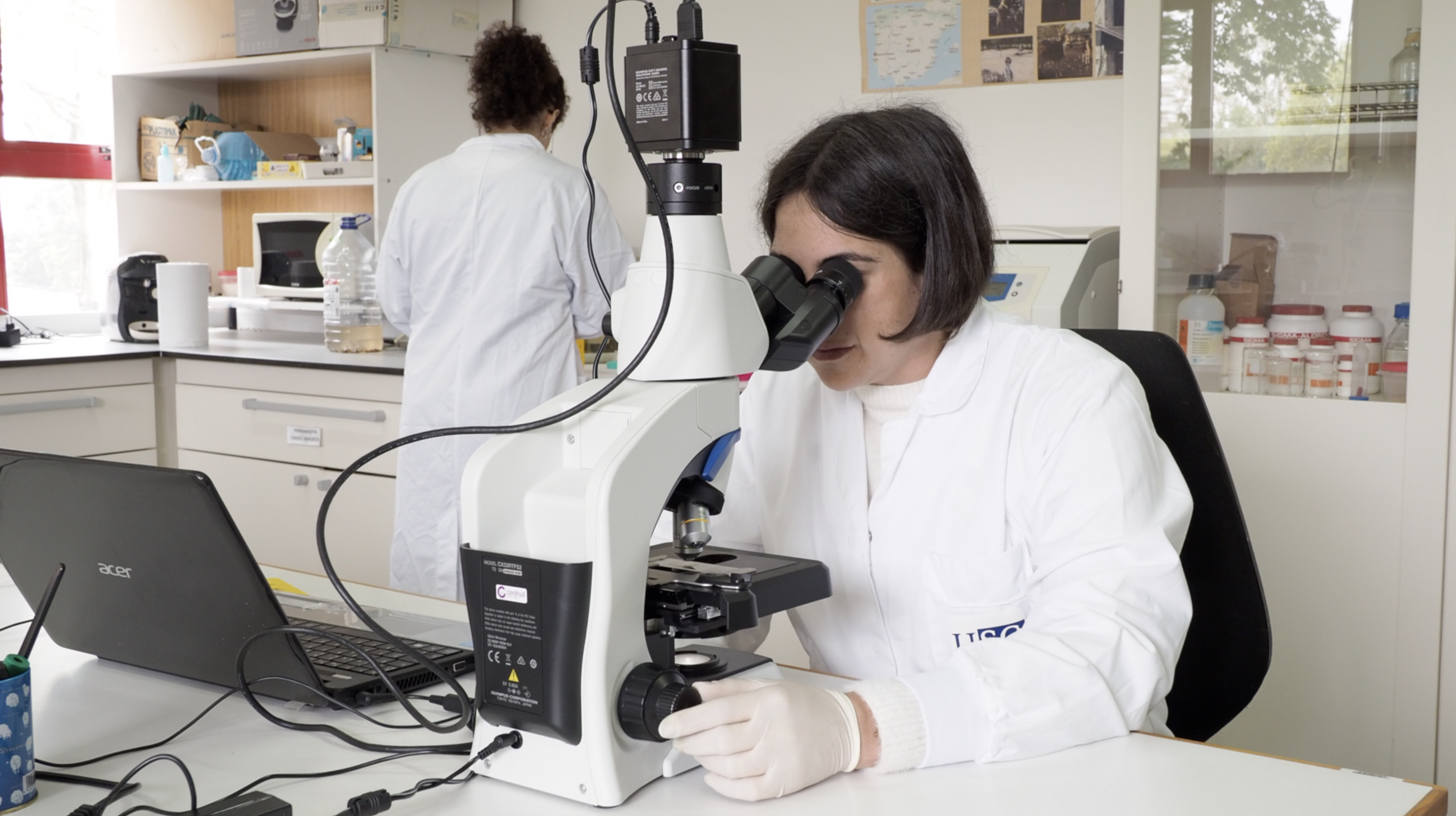 Hongos saprófitos: una solución innovadora para reducir infecciones en ganaderías pastoriles en la que trabaja el GO FUNTRAPA