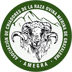 Los Criadores de la Raza Merina de Grazalema (AMEGRA) publica su 5º Catálogo de Sementales