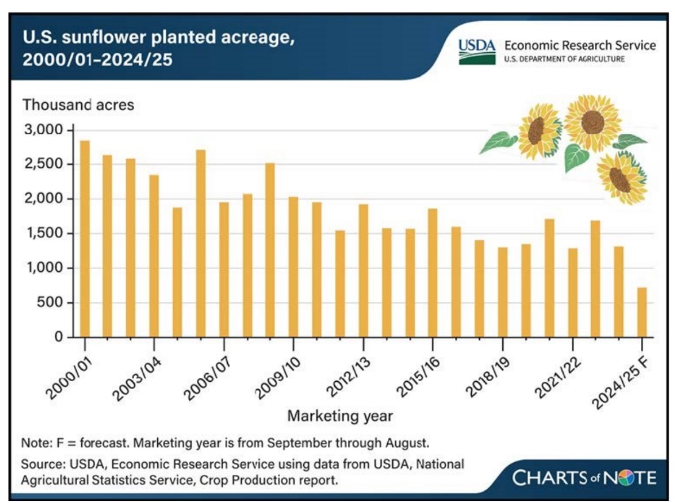 La superficie cultivada con girasol se reduce a mínimos históricos en EE.UU. 