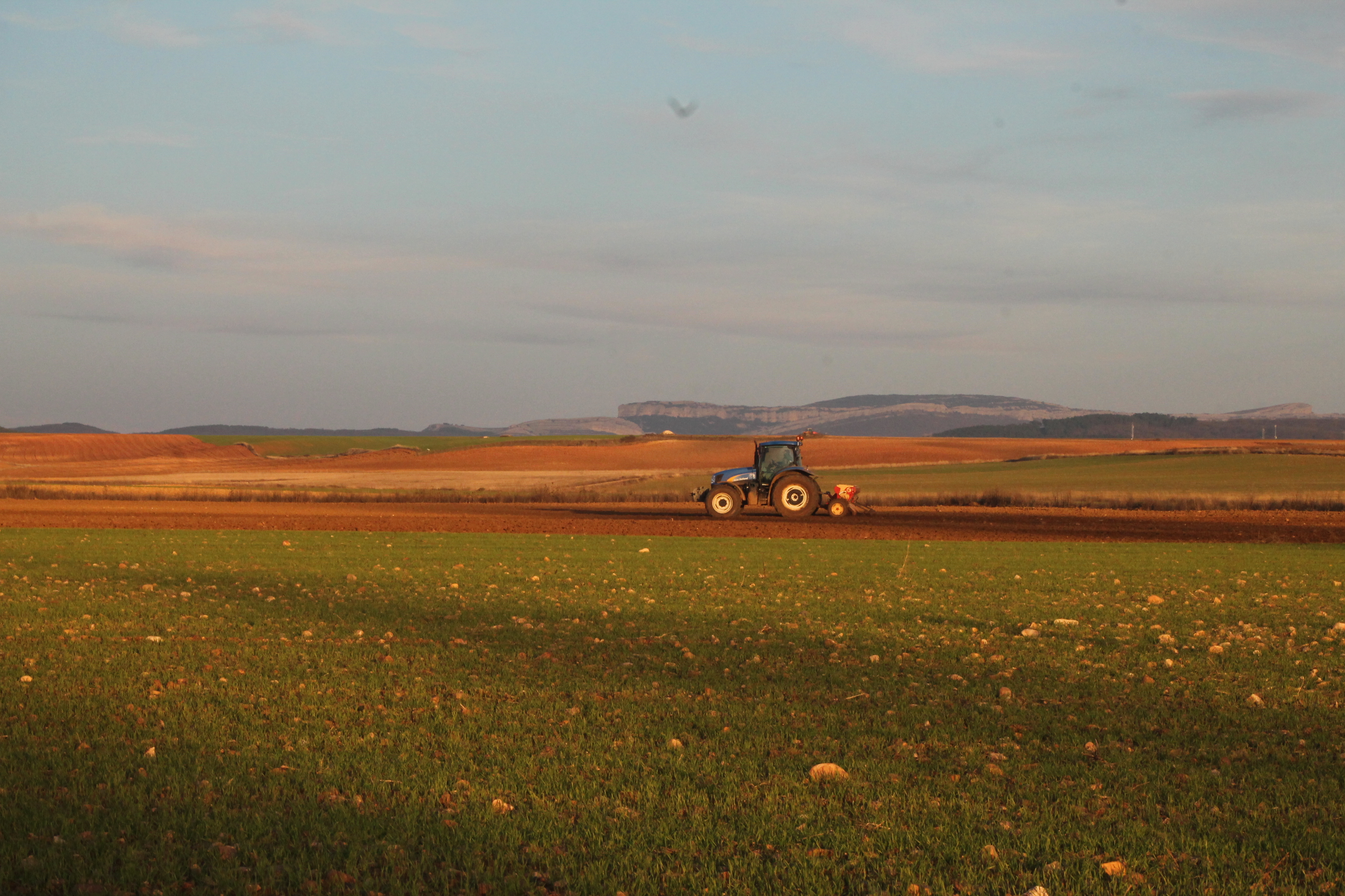 año agricola