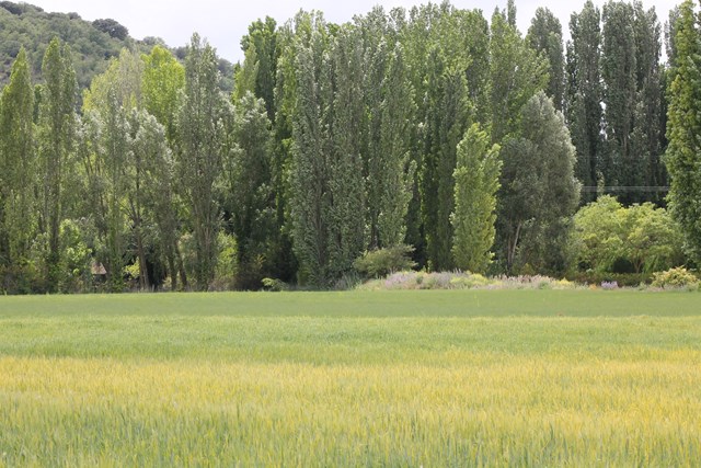 año agricola