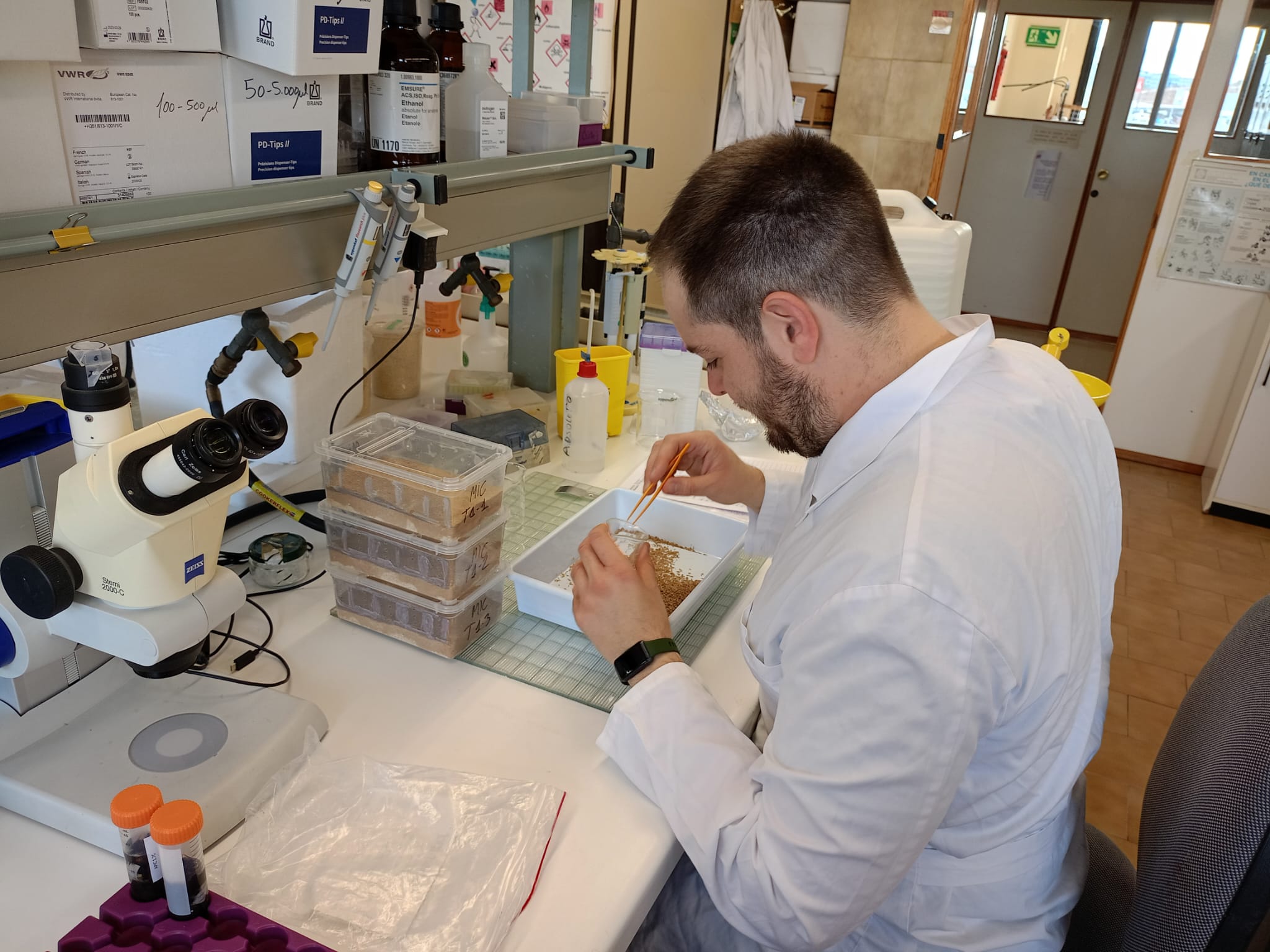 el Grupo operativo denominado LIVLAB-IN: Transformando la agricultura y la agroindustria mediante la insecticultura. Nuevas tendencias