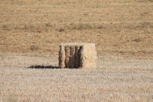 Grave denuncia de COAG Salamanca por la falta de personal en la Unidad Agraria de Alba de Tormes