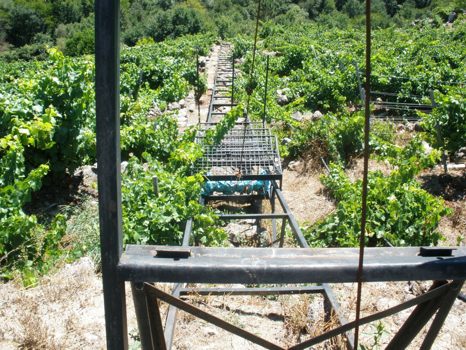 El SLG lamenta el cierre en falso de la crisis de la Ribeira Sacra: medidas insuficientes para los viticultores y la cosecha de 2025